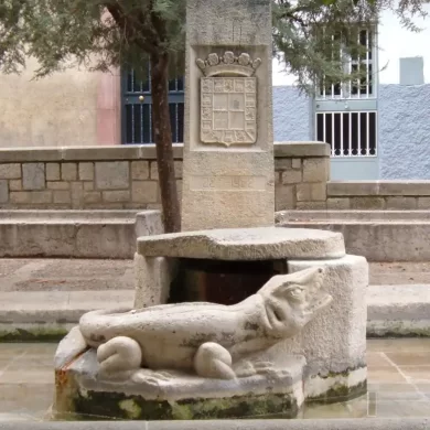 Lagarto de Jaén